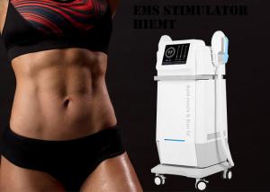 China Upgraded Power Tesla Hiemt Muscle Machine Commercial wholesale