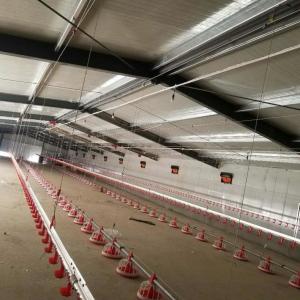 China Automatic Pan Feeding System Poultry Farm Equipment wholesale