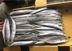 Block Quick Frozen 80g 100g 110g Bulk Freezing Pacific Saury