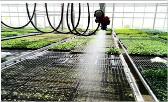 Hydroponic System for Aquaponics in Multi-Span Agricultural Greenhouse