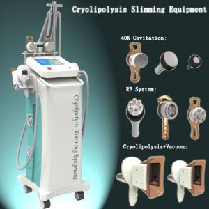 China Cryolipolysis fat freeze slimming machine with 5 handles for body slimming treatment wholesale