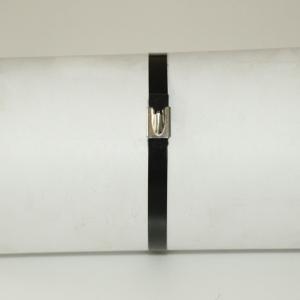 China UV Resistant Black 316 Stainless Steel Cable Ties Polyester Coated SS Zip Ties wholesale