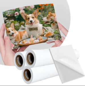 China 108gsm Pigment Dye Inkjet Label Matte Self Adhesive Sticker Paper on sale