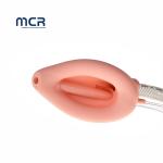 Disposable Laryngeal Mask with Vision For Anaesthesia Surgey