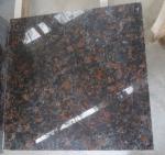 Popular Polished Tan Brown Granite Tile/Slab have Top Quality