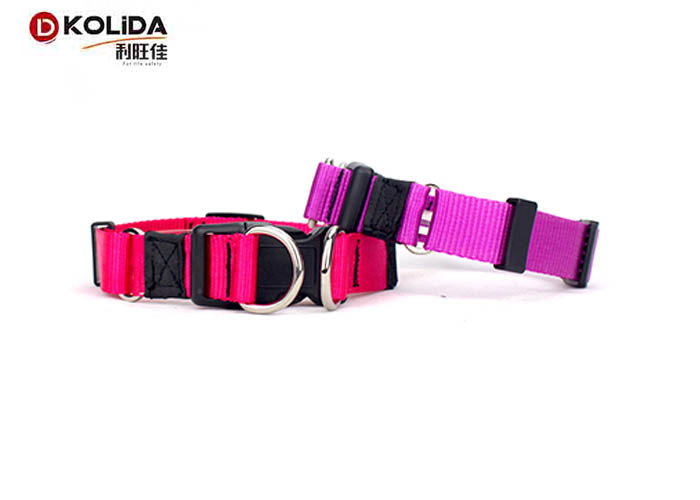 Personalized Nylon Dog Collars Custom Double D Ring Release Buckle C605