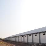 Poultry farm Henhouse turnkey solution