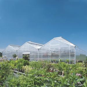 China Multi Span High Tunnel Greenhouse 6mm 8mm 10mm Pc Board Polycarbonate wholesale