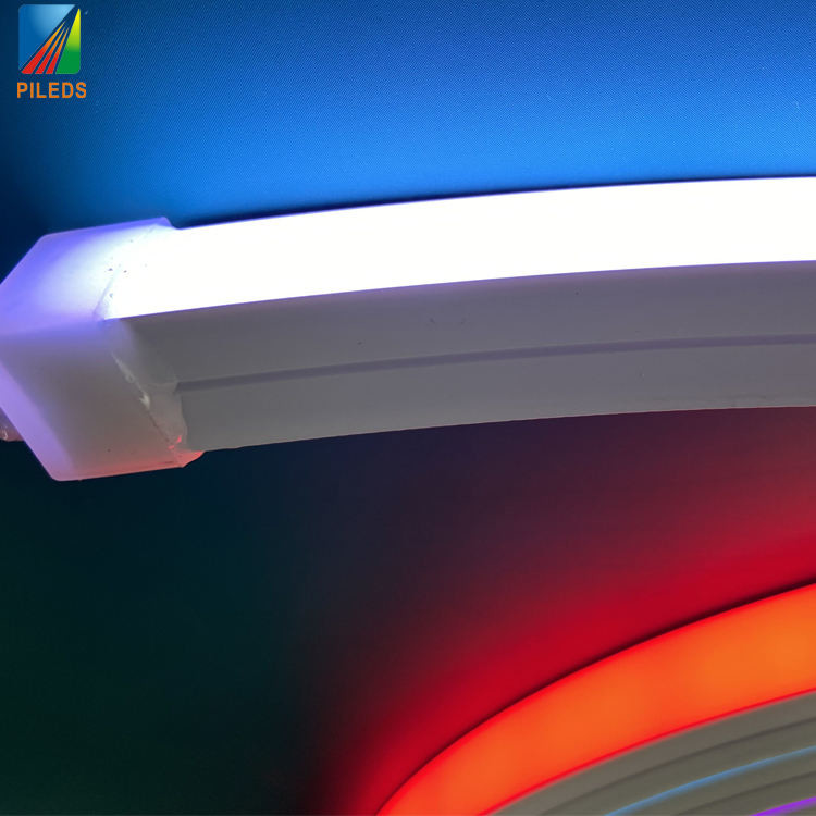 Customized Ws2811 LED Neon Strip Waterproof For Outdoor Indoor Decoration