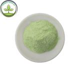 green apple juice powder organic powdered apple juice buy best health benefits