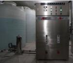 Commercial alkalescent water ionizer 1000 liters per hour