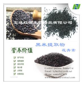 China Nautral Black Rice Extract C3G 5% by HPLC wholesale