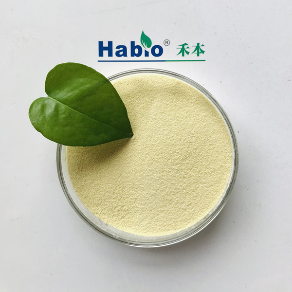 Premium Beta Mannanase Enzyme Improve the Intestinal Microflora Alleviate the Effect of Mycotoxin