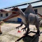 Exhibitions Realistic Animatronic Dinosaur 6m Spinosaurus Model