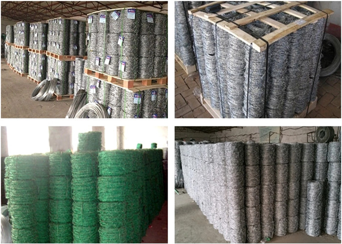 Lawn SWG12# X 14# Hot Dipped Galvanized 50kg Barbed Wires