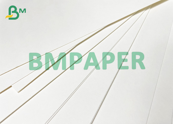 400 x 550mm Food Grade Absorbent Paper For Blotting Applications