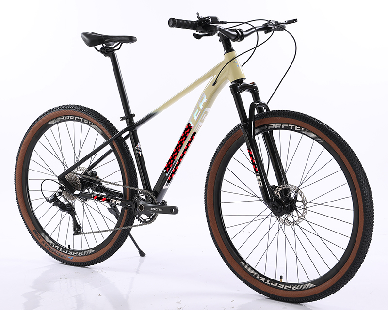 Custom 10 12 Speed Alloy Bicicleta for Man XC MTB Bike 29 Inch Hydraulic Groupset Mountain Bike in LightBlue Black Style