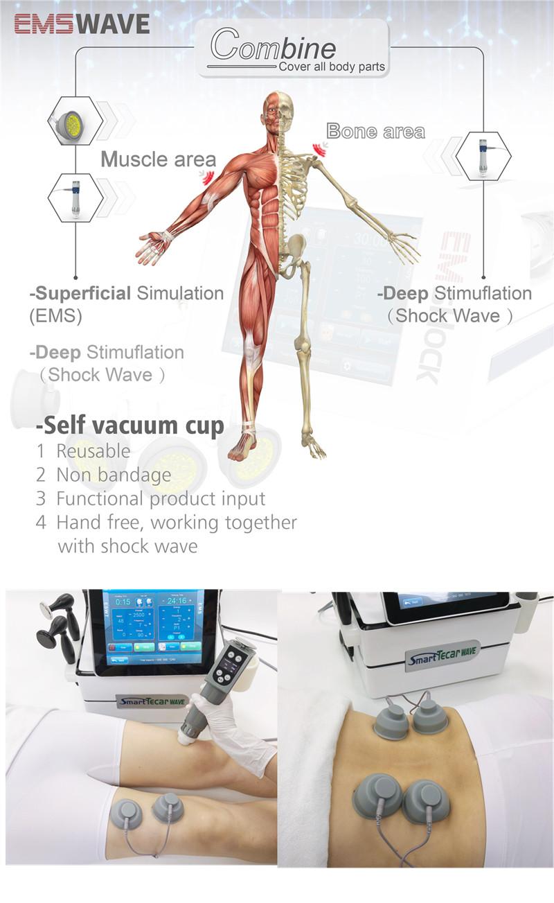Tecar Therapy Physical EMS Machine With 300KHz RET 450KHz CET