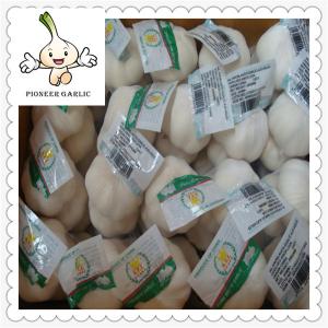 China Fresh Garlic Global Foods health against cancer new crop fresh garlic wholesale
