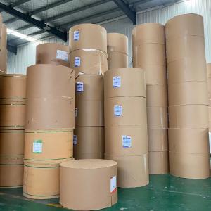 China 167gsm Double PE Coated Paper Roll Offset Printed Dia 1100mm wholesale