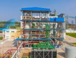 Leaching Steaming Palm Oil Extraction Equipment 100-200 TPD