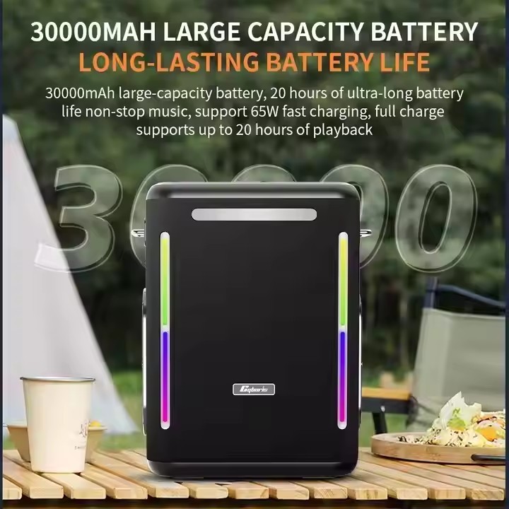 High Density Sheet Cabinet Material" Waterproof Bluetooth Speaker with 100W Output Power and 2 Tweeter Size