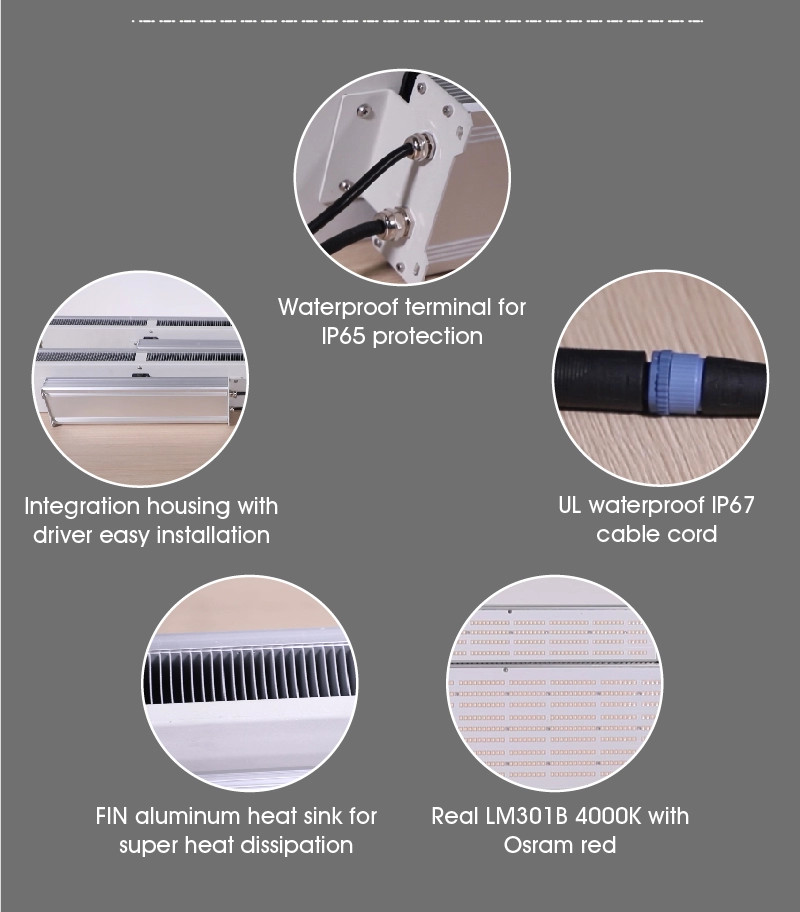 200W 2.8 Umol/J Vegetable LED Grow Lights