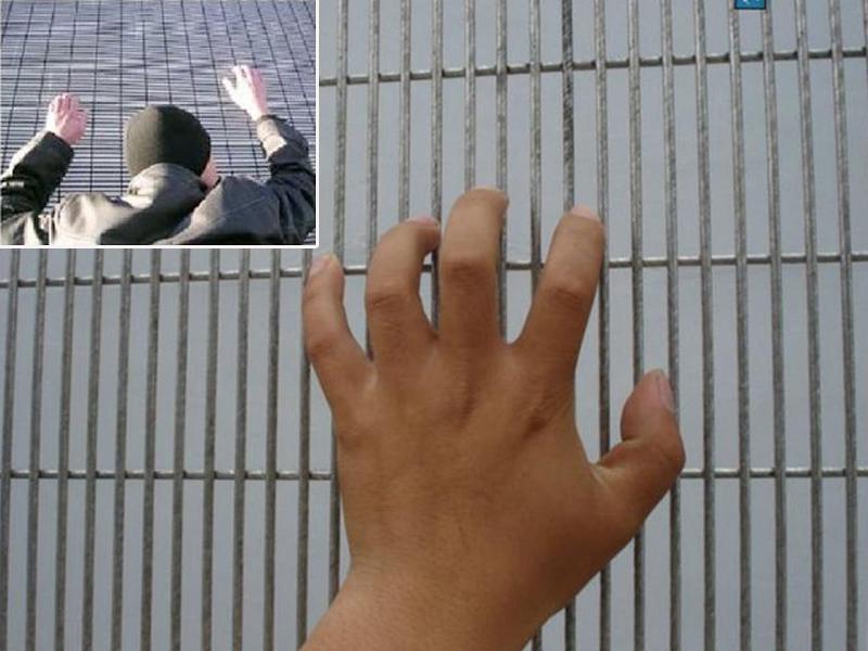Anti Climb And Anti Cut Fence Security Airport Prison Wire Fence