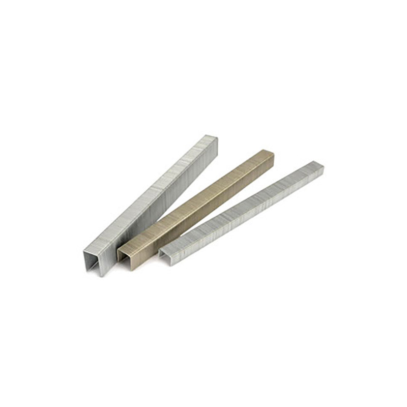 Galvanized Type 53 Staples 10mm 7/16" Crown JT21 5/16 Length Chisel Point