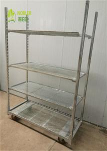 China Nobler Greenhouse Carts Transport Trolleys Vegetbable Plants Nursery Growing wholesale