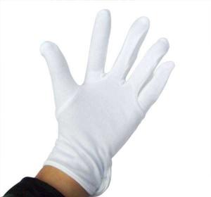 China Cotton gloves, Parade gloves, Cotton jersey gloves wholesale