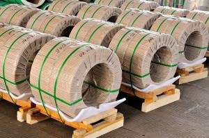 China INCONEL Alloy 625 UNS N06625 Strip Coil Sheets ASTM B443 AMS 5599 wholesale