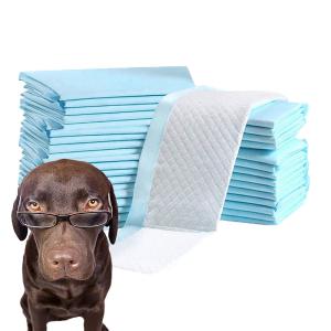 China CE ISO Certified Pet Training Products Absorbent Dog Pads 90X60 60X60 cm for Pet Toilet wholesale