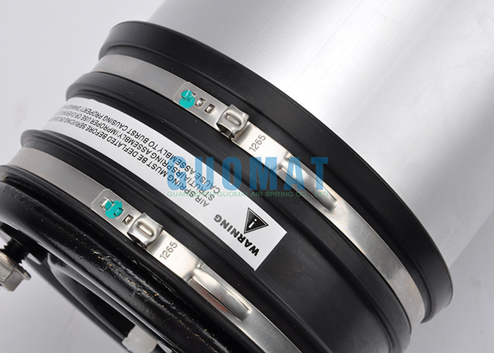 Rear 1998 - 2006 S Class Mercedes Air Suspension Struts 2203202338 One Year Warranty