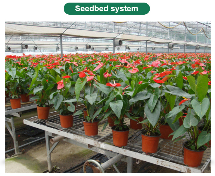 Ventilation Sides Ventilation Blackout Film for Mushroom Greenhouse Manufactured by LITAI