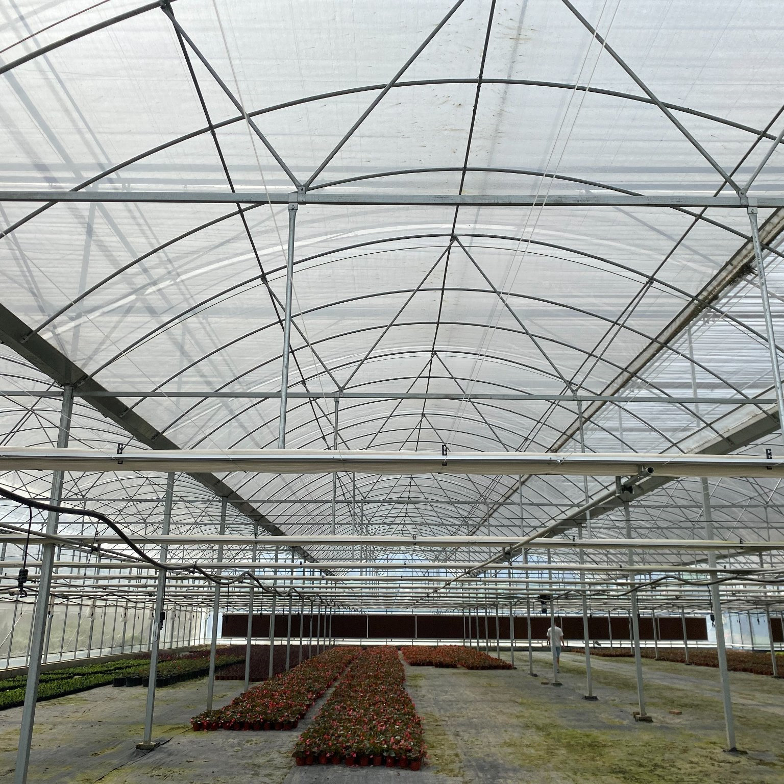 Hydroponic Complete Thailand Multi Span Greenhouse Side Ventilation Industrial