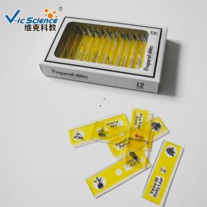 China Children Plastic Prepared Microscope Slides 12pcs Plant Series VIC59 wholesale