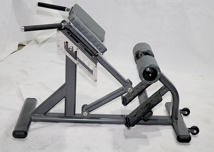 Customizable Full Gym Back Extension Exercise Equipment
