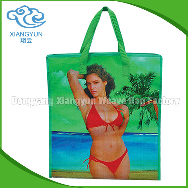 laminated bopp customized pp woven shopping bags /colorful pp woven iron zip bags