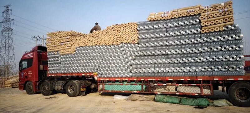 Carbon Steel Galvanized Welded Wire Mesh Fence 30m Solid Construction