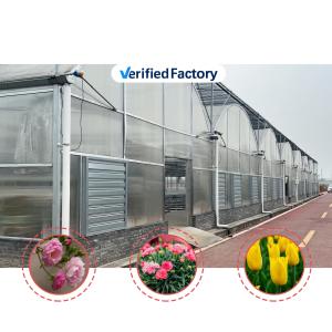 China Thermostat Waterproof Plant Growing Hydroponics System Tunnel Large Greenhouses For Flower wholesale