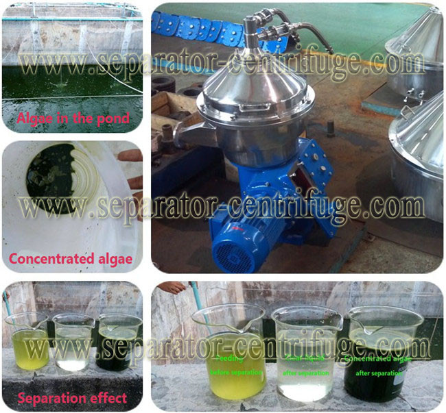 Continuous Disc Centrifuge Separator Vegetable Oil For Crude Oil 20kw
