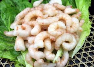China Shrimp Swimming Crab Frozen Red Shrimp Pud Solenocera Melantho Raw wholesale