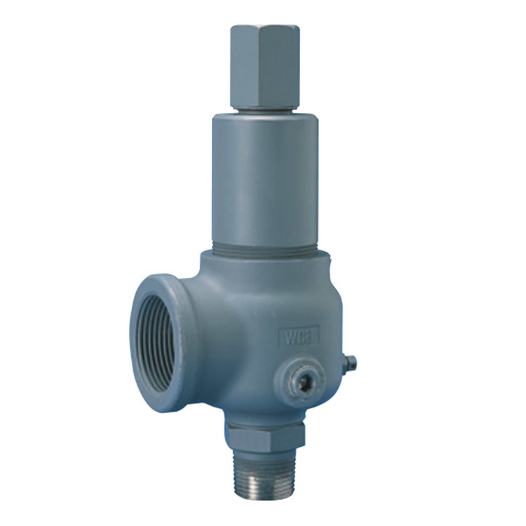 900 Series Safety relief valve Threaded NPT, BSPT, flanged or Tri-clover