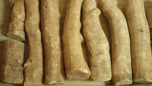 China Tongkat ali Extract 100:1 200:1 wholesale