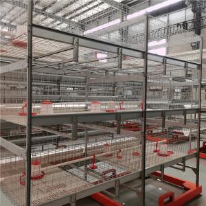 China U Shape Steel Broiler Chicken Cage With PVC Pipe , Nipple Drinker wholesale