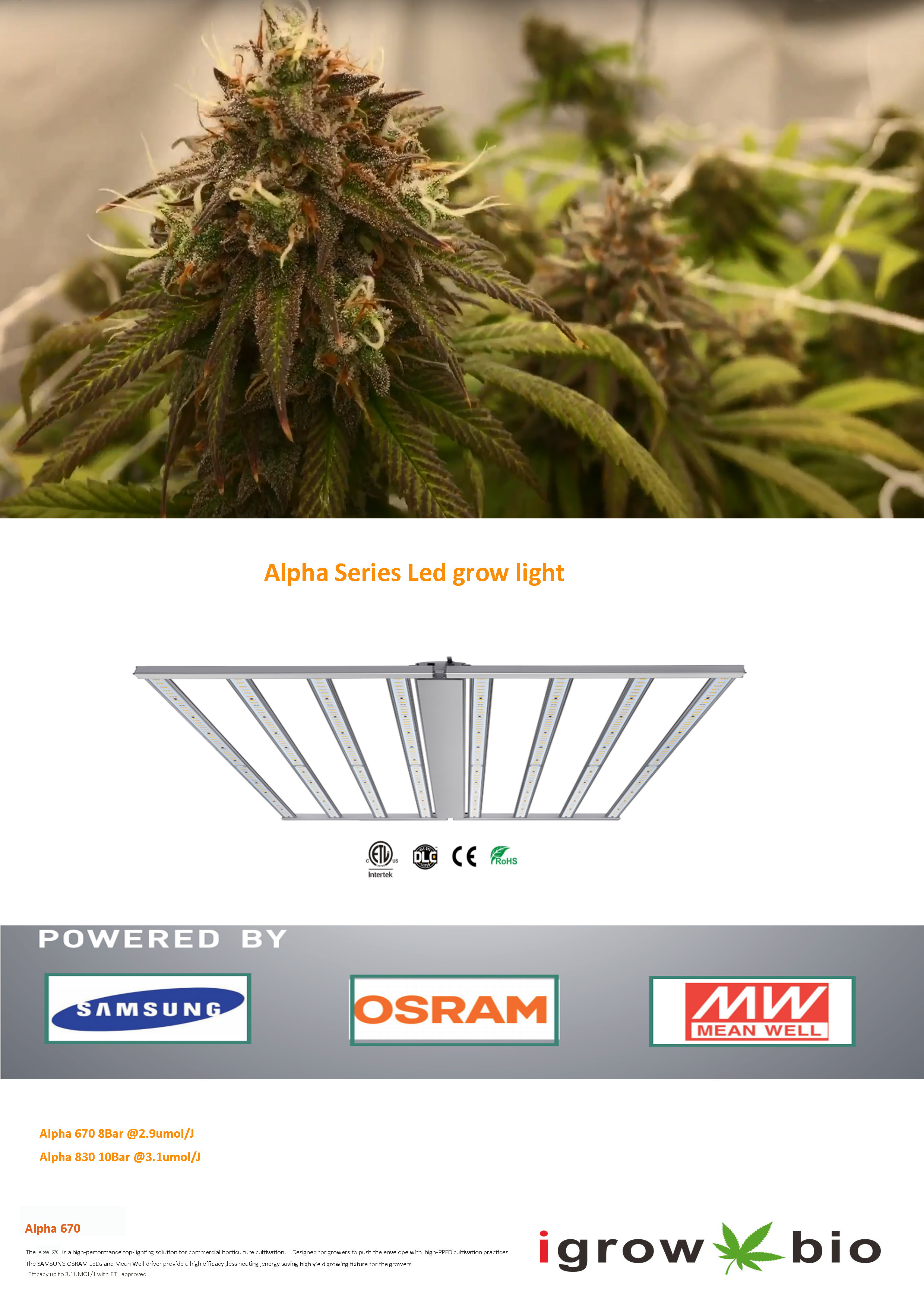 High Power 900W Knob Dimmer LED Herb Grow Light