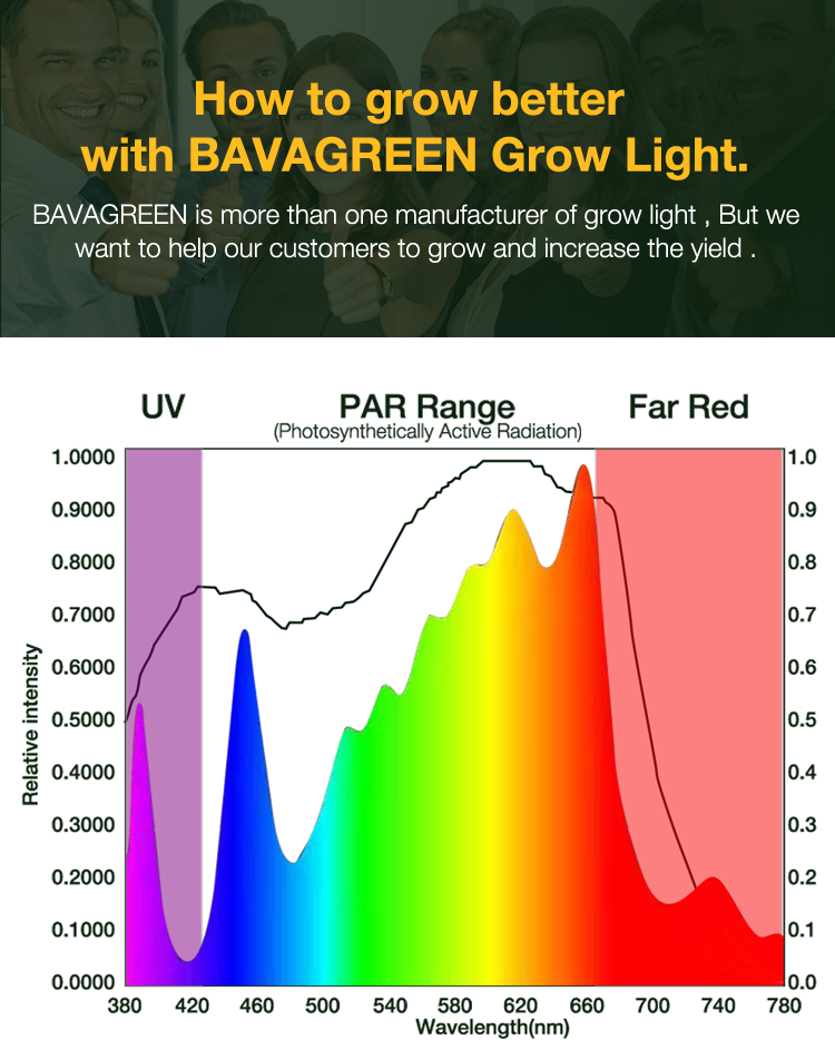 BAVAGREEN 600W full spectrum  uv ir samsung lm301 waterproof LED grow light bar 1