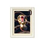 0.6mm PET 5D Lenticular Printing Services With Cute Animal Photos For Gift /