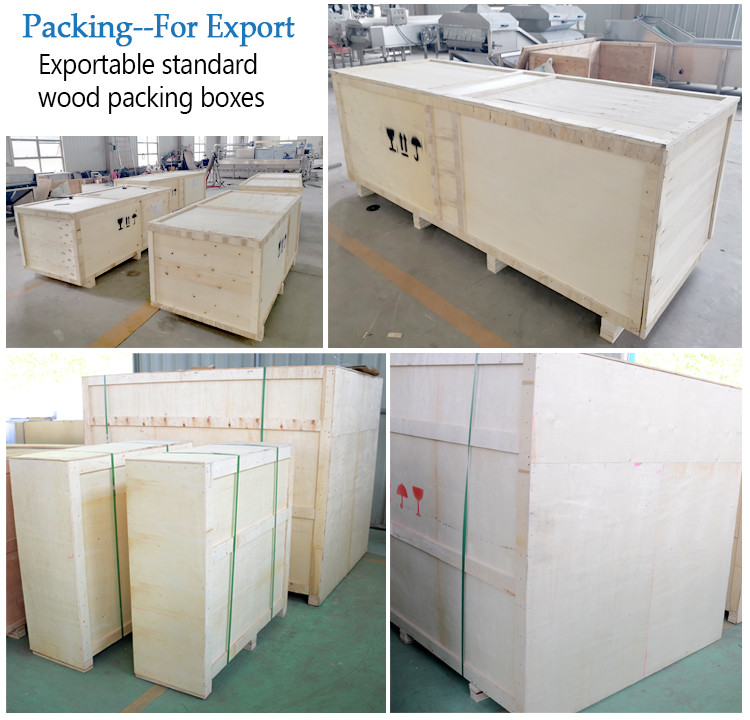 Industrial Food Vegetable blanching machines-packing